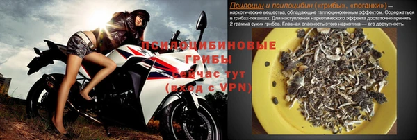гашик Волосово